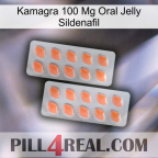 Kamagra 100Mg Oral Jelly Sildenafil 27